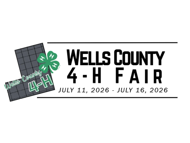 Fair Logo